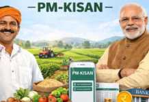 PM Kisan 24वीं किस्त: अक्टूबर में क्यों आ सकती है राशि? जानिए दो बड़ी वजह और किन किसानों को मिलेगा लाभ