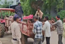 विदिशा में एक पेड़ पर एक ही रस्सी से मिले दो जिगरी दोस्तों के शव, परिवार ने जताई हत्या की आशंका; जांच में जुटी पुलिस