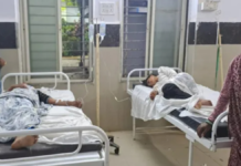 देवास में माता की प्रतिमा विसर्जन जुलूस पर मधुमक्खियों का हमला, करीब 25 लोग घायल; 13 को अस्पताल ले जाना पड़ा