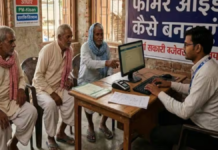 धान की MSP पर बिक्री के लिए Farmer ID हो सकती है जरूरी, किसान समय रहते कराएं रजिस्ट्रेशन; जानें फायदे और प्रक्रिया