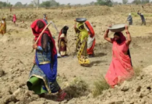 छत्तीसगढ़ में वीबी-जी राम जी के 12 हजार कर्मचारियों की HR नीति दो साल से लंबित, सेवा सुरक्षा और सामाजिक लाभों का इंतजार