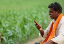गोरखपुर में रबी की बोआई के लिए किसानों को 50% अनुदान पर मिलेंगे बीज, गेहूं सहित दलहन फसलों के लिए ऑनलाइन बुकिंग शुरू